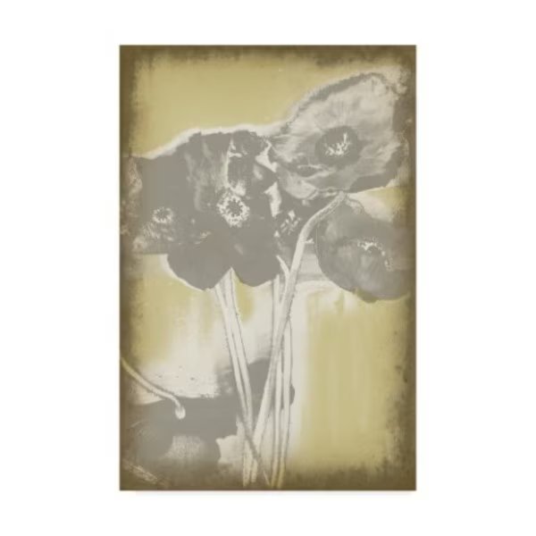 Jennifer Goldberger 'Poppies In Relief Ii' Canvas Art, 22x32, Trademark Fine Art, Mfr#: WAG01142-C2232GG
